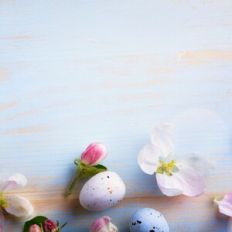 Spring Easter Background