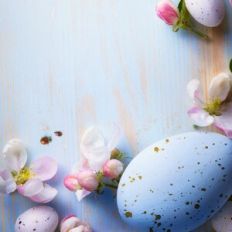 Easter Flowers Background