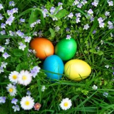 Easter Egg Hunt Background
