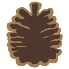 Pinecone