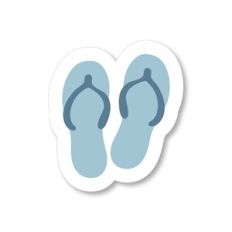 Flip Flops