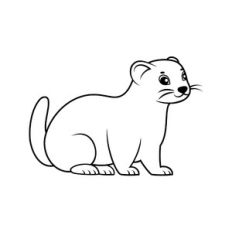 Ferret - Outline