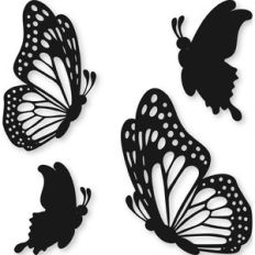 fluttering butterflies