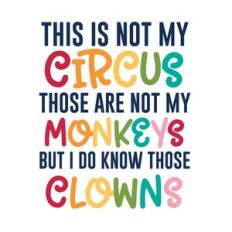 Not My Circus, Not my Monkeys, But i do know those clowns