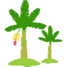 banana trees