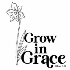 Grow in Grace Daffodil Quote