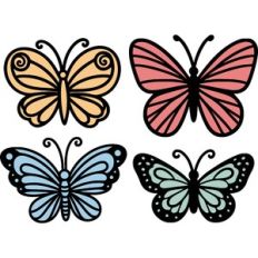Butterflies