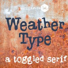 PN Weather Type