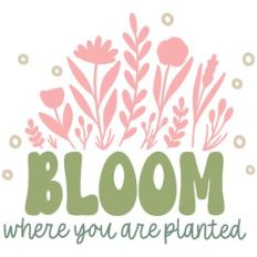 Bloom Where You Are Planted