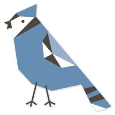 Blue Jay