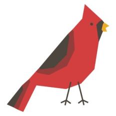 Cardinal