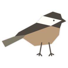 Sparrow