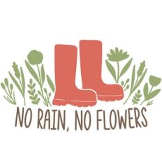 No Rain No Flowers Rainboots