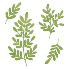 BRANCHES
