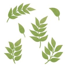 Branches
