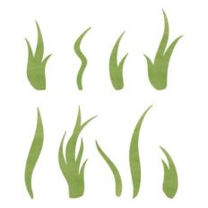 Grass