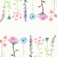 Watercolor Spring Flowers