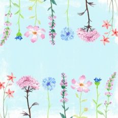 Blue Spring Flowers