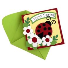 Ladybug Gift Card and Envelope
