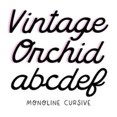 BFC Vintage Orchid Monoline Rounded Script Cursive Font