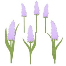 Lupine flower