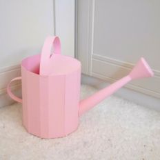 Arrosoir/ Watering can
