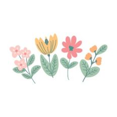 Spring blooms