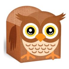 owl box