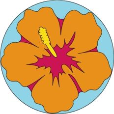 hibiscus