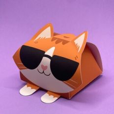 Gift box - orange cat with black glasses