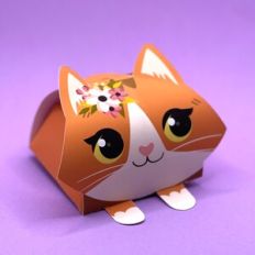 Gift box - orange cat with flowers
