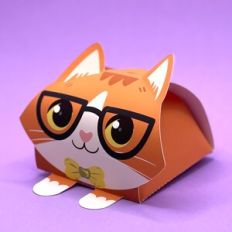 Gift box - orange cat with glasses and bow