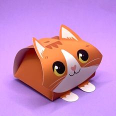 Gift box - orange cat
