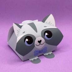 Gift box - raccoon with bow