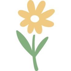 daisy