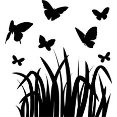 Spring Butterfly Field