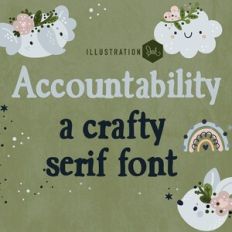 ZP Accountability