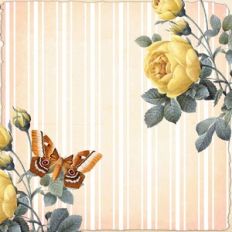 shabby chic wall background