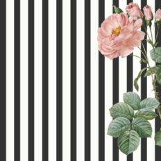 shabby chic stripe background