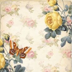 Shabby Chic Moth Background