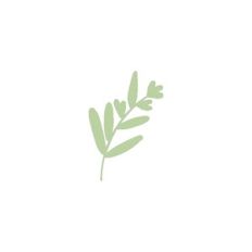 Sprig
