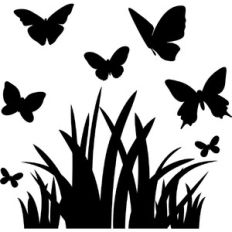 Butterfly Field