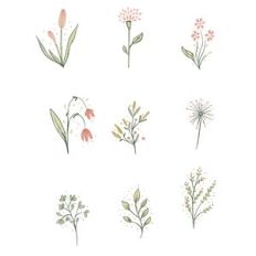 Flower stickers