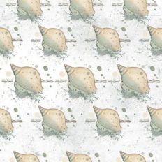 Seashell seamless pattern with white background