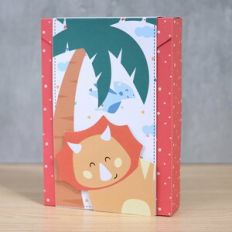 NOTEPAD ENVELOPE BOX Dino