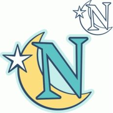 'n' is for night (samantha walker)