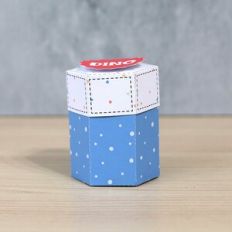 Hexagonal Box Small Dino