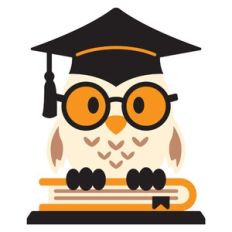 Graduation Owl 3D Layered