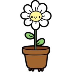 cute potted daisy