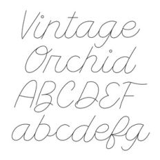 BFC Vintage Orchid Sketch Monoline Elegant Cursive Script Sketch Font